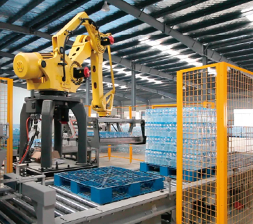 Robot Packing & Palletizing