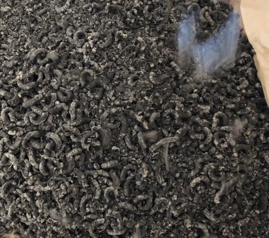 Système de presse à vis, d’essorage et de densification des films plastiques
