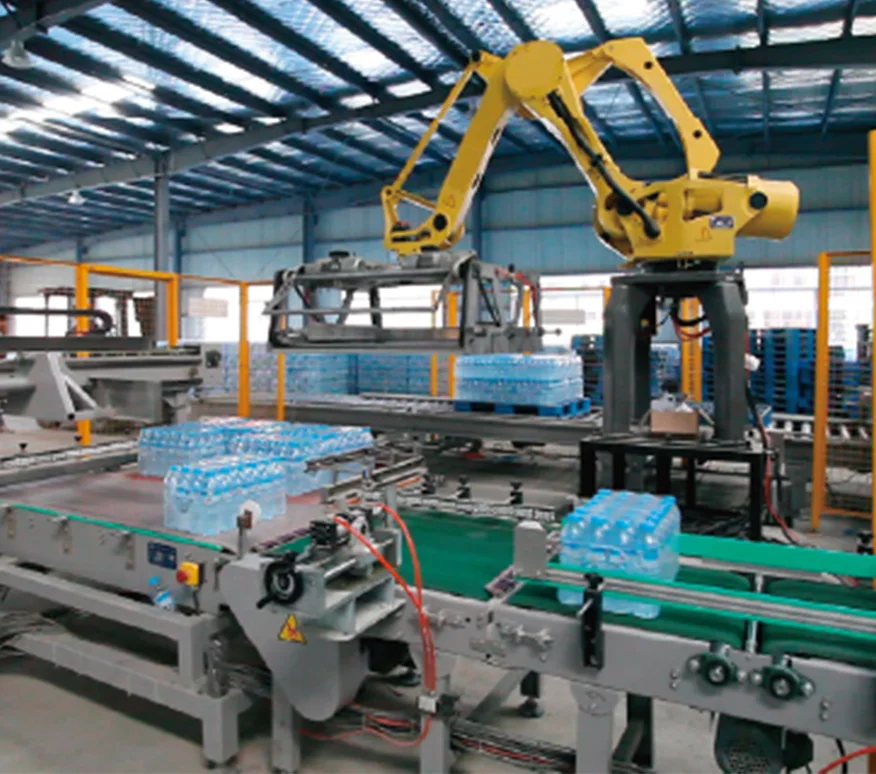 Robot Packing & Palletizing
